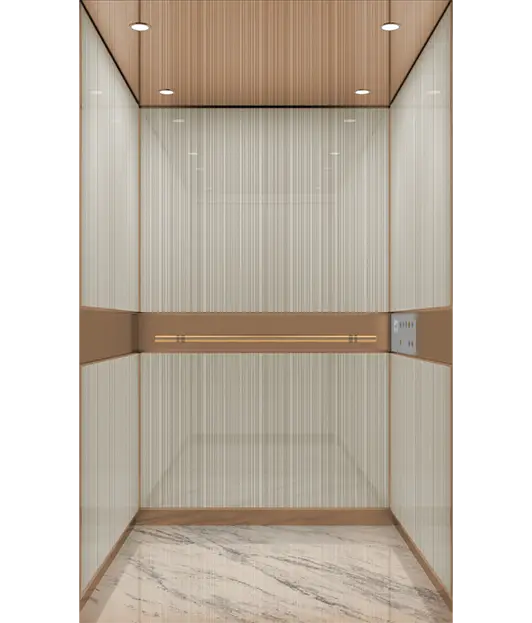 Premium home & villa elevators cabin design