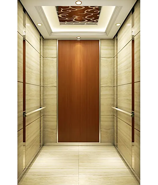 Modern Textured Passenger Elevator.