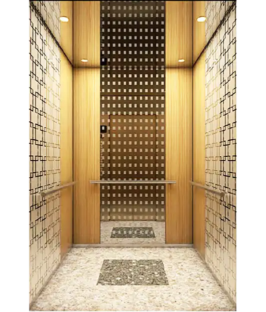 Modern Decorative Passenger Elevator.