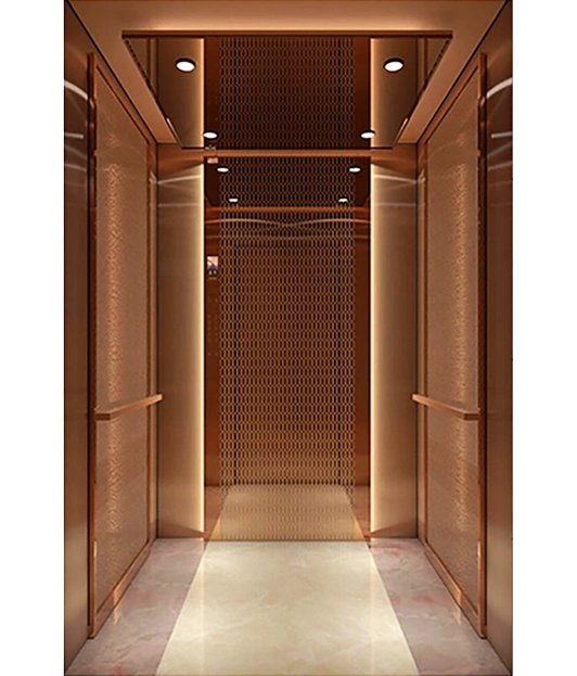 Hairline Stainless Steel Plated Passenger Elevator.