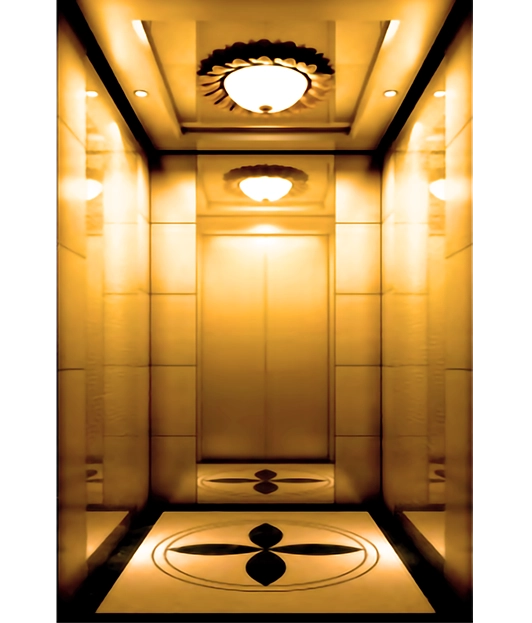 Champgne Golden Passenger Elevator