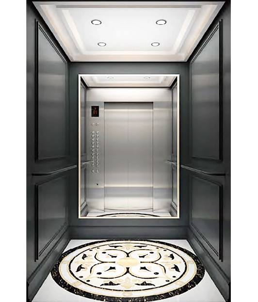 Sprayed Steel Paneled Passenger Elevator.