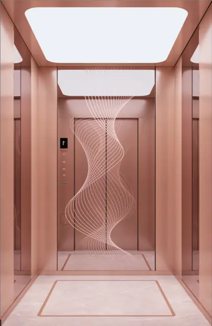 Rose Gold Passenger Elevator