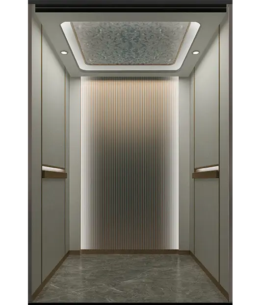 Hairline stainless steel Passenger Elevaor