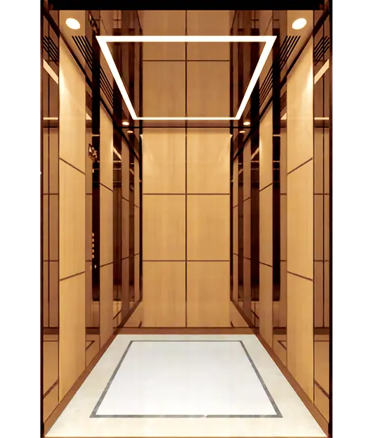 Rose gold stainless steel framed passnger elevator.