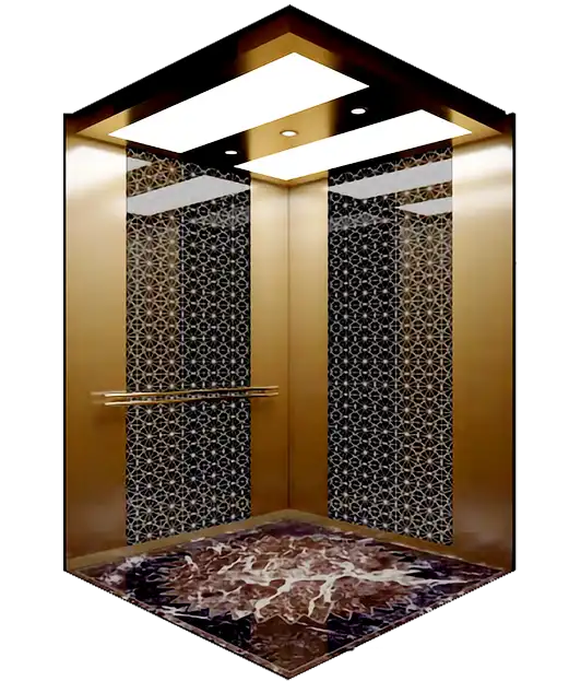 A Titanium Gold Passenger Elevator.
